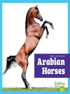 cover image of Arabian Horses